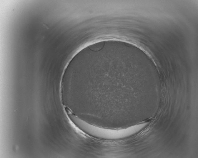 X0000071761535200607142349