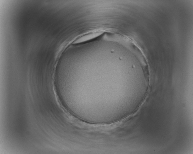 X0000071760001200607220022