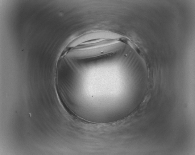 X0000071760003200607220022