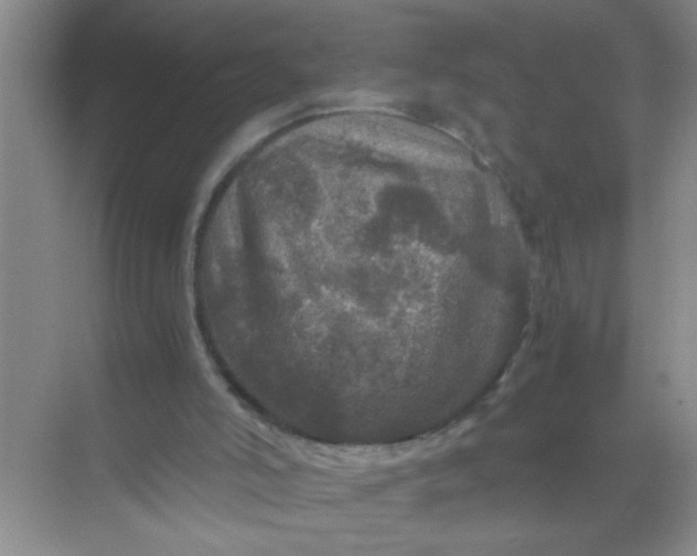 X0000071760006200607220021