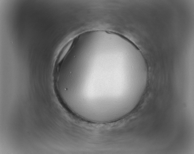 X0000071760007200607220021