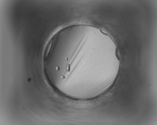 X0000071760008200607220021