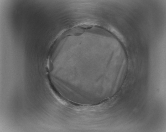 X0000071760009200607220021