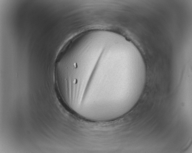 X0000071760011200607220021