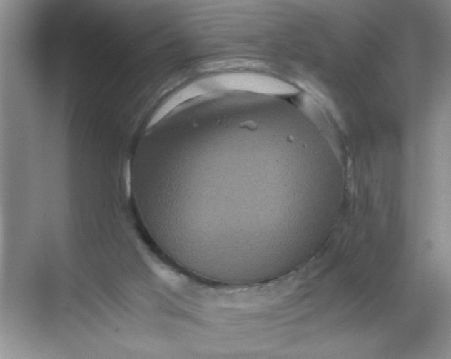 X0000071760013200607220021