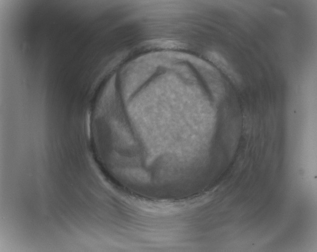 X0000071760014200607220021