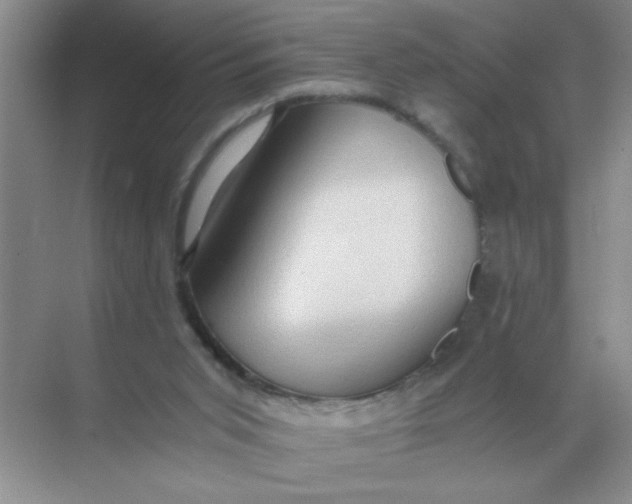 X0000071760015200607220021