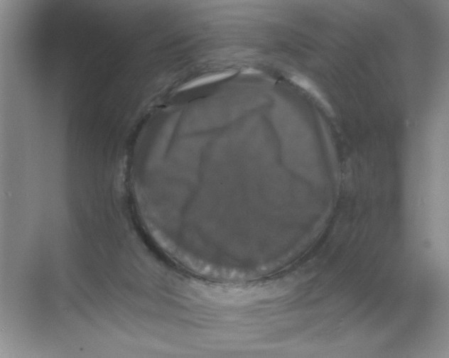 X0000071760018200607220021