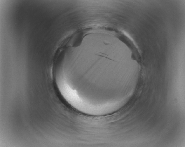 X0000071760019200607220021