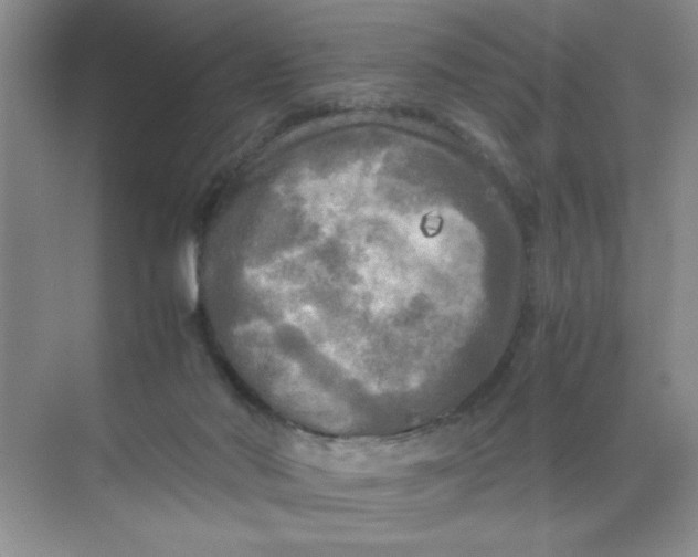 X0000071760022200607220021