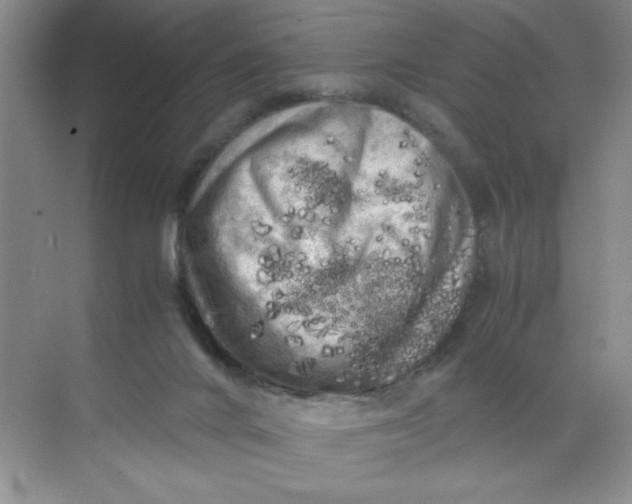 X0000071760024200607220021