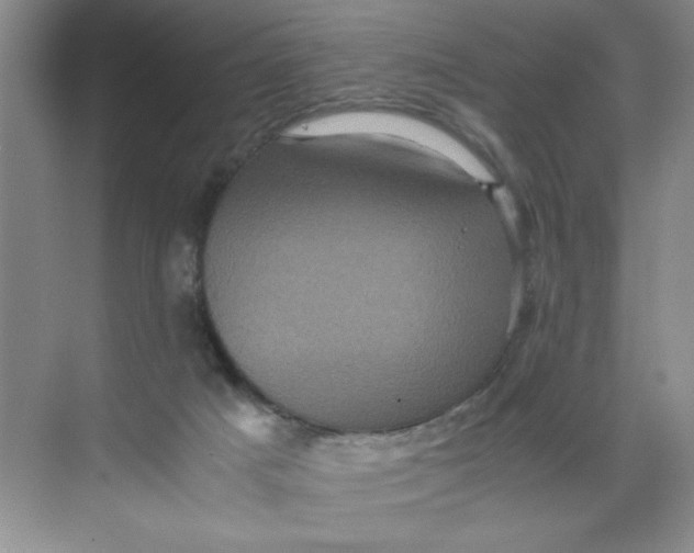 X0000071760025200607220021