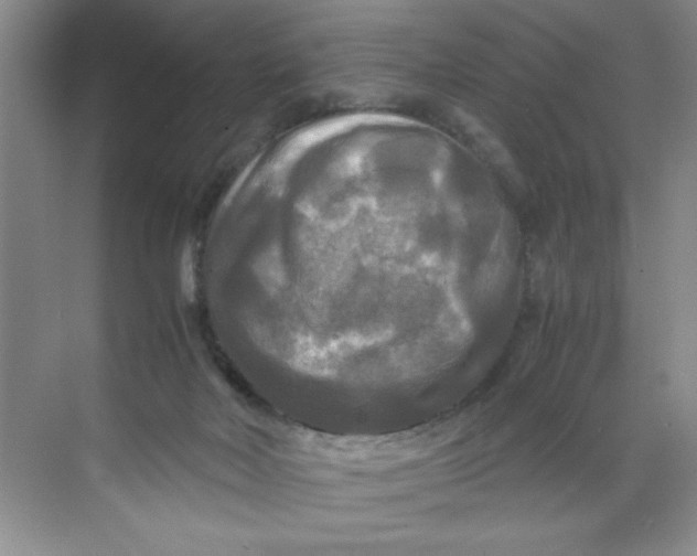 X0000071760026200607220021