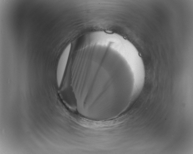 X0000071760027200607220021