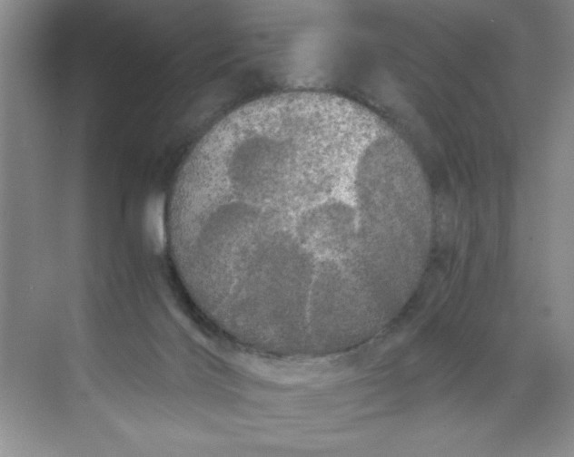 X0000071760028200607220021