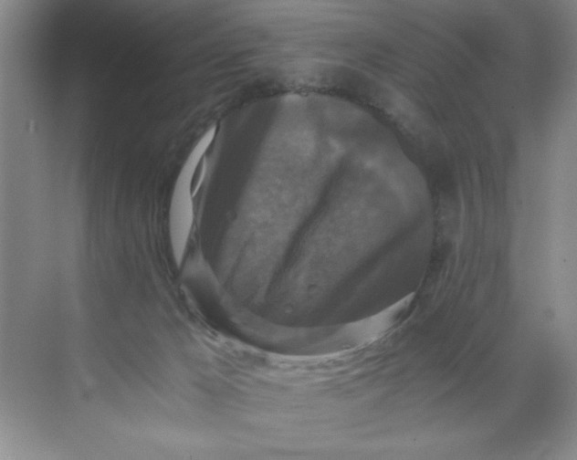 X0000071760029200607220021