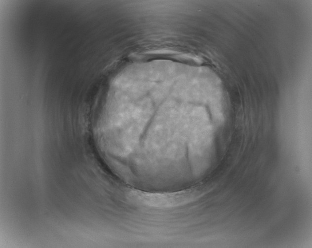 X0000071760030200607220021