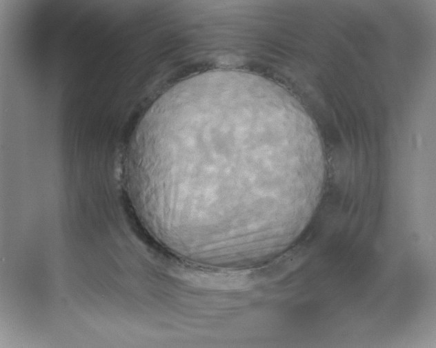 X0000071760032200607220021