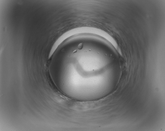 X0000071760033200607220021