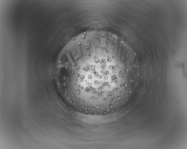 X0000071760034200607220021