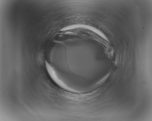 X0000071760035200607220021