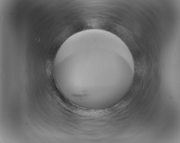 X0000071760036200607220021