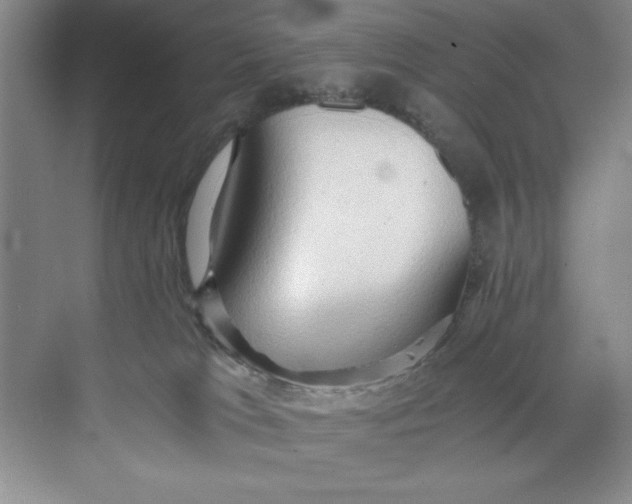 X0000071760037200607220021