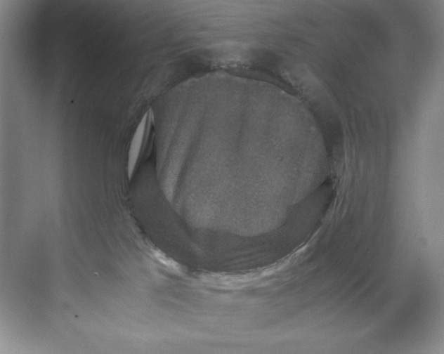 X0000071760041200607220021