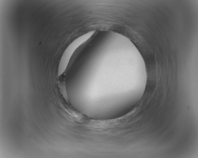 X0000071760045200607220021