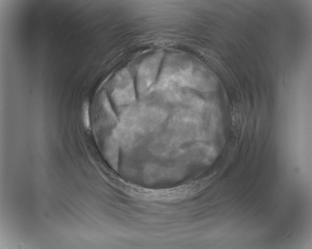 X0000071760046200607220021