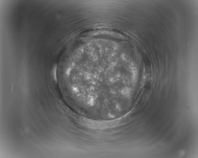 X0000071760047200607220021