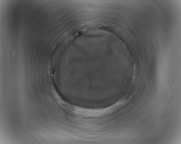 X0000071760048200607220021