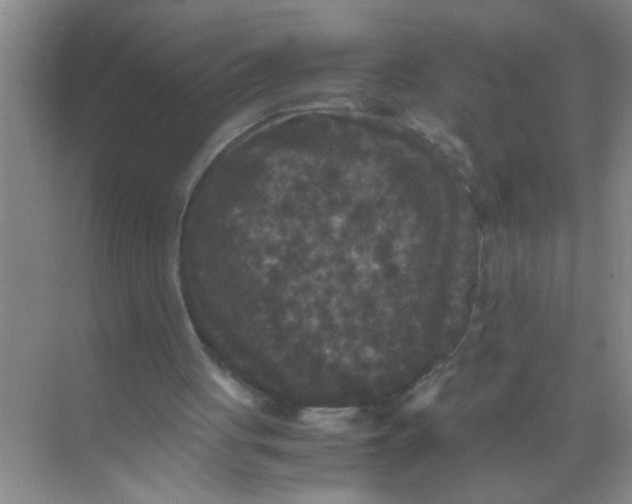 X0000071760051200607220020