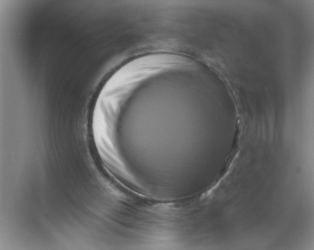 X0000071760054200607220020