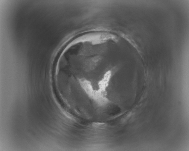 X0000071760055200607220020