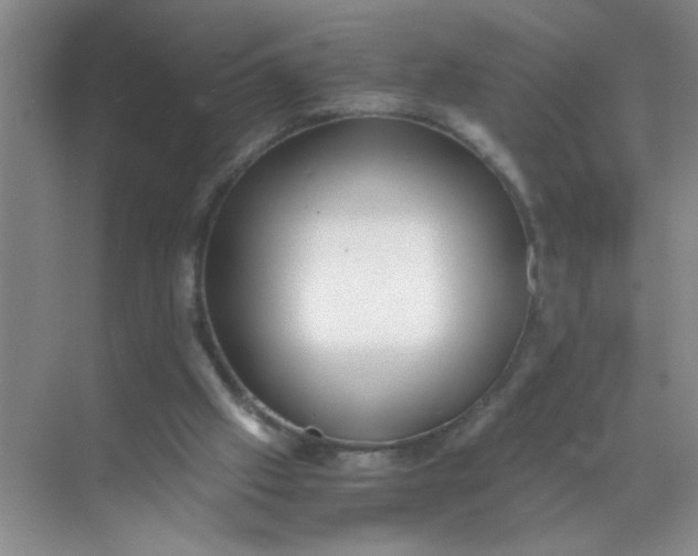 X0000071760057200607220020