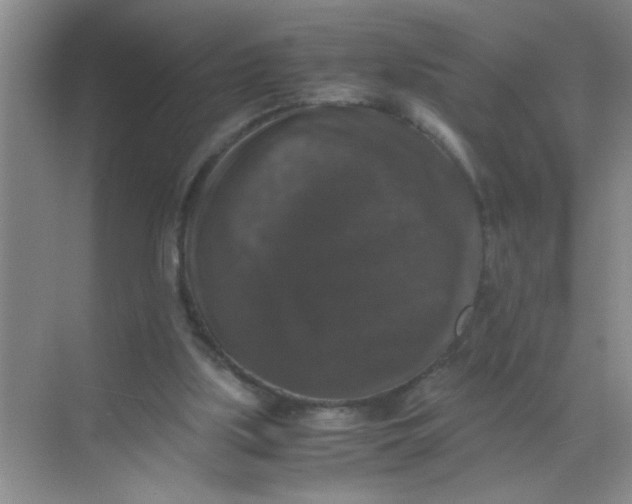 X0000071760059200607220020