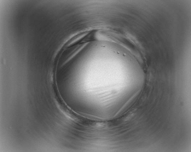 X0000071760060200607220020