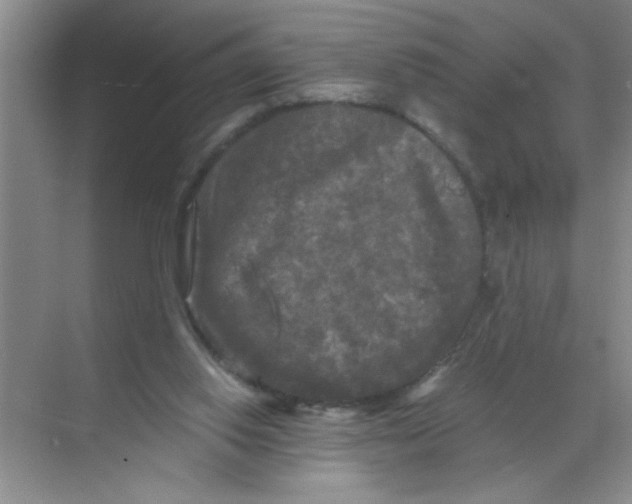 X0000071760062200607220020