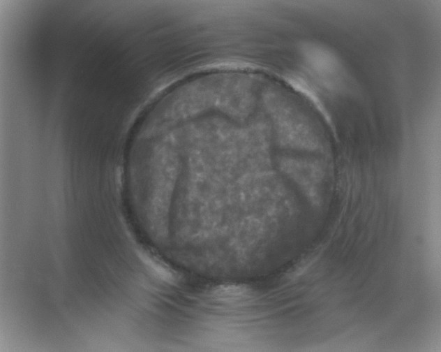 X0000071760063200607220020