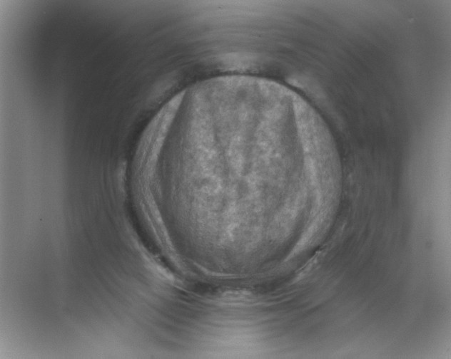 X0000071760066200607220020