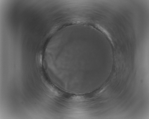 X0000071760067200607220020