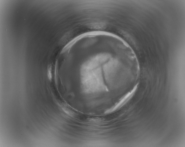 X0000071760069200607220020