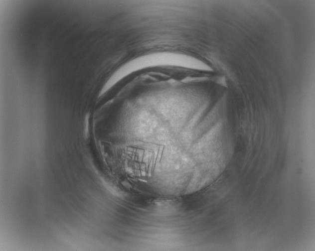 X0000071760070200607220020