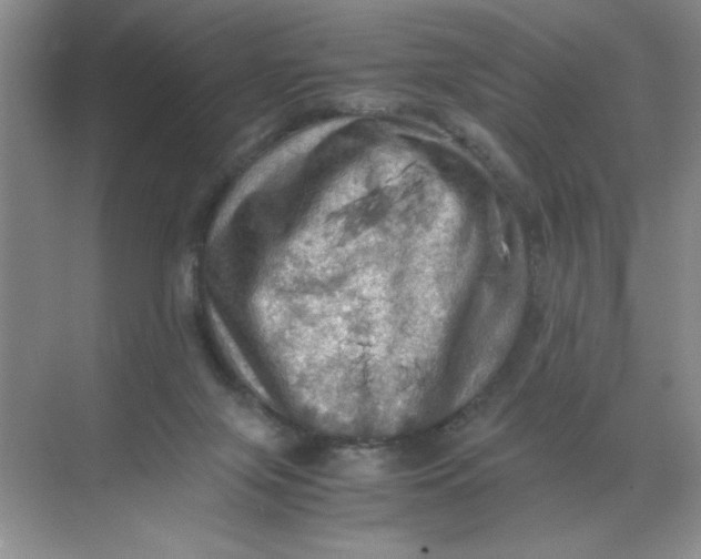 X0000071760071200607220020