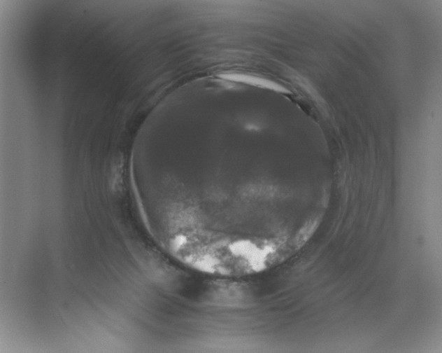 X0000071760073200607220020