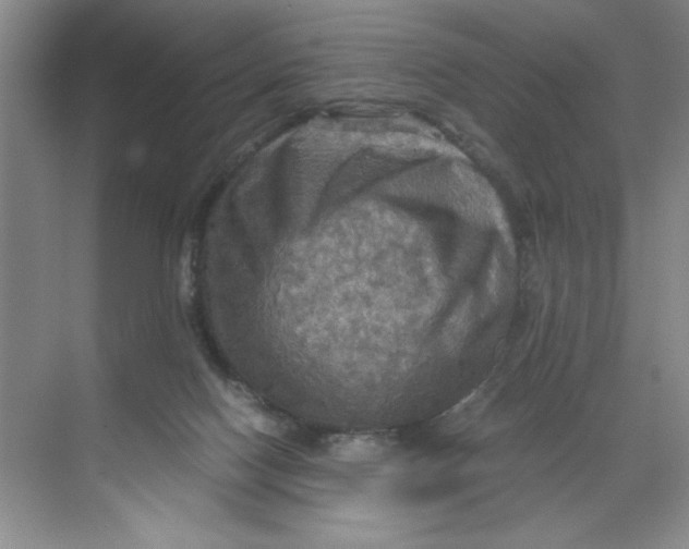 X0000071760074200607220020