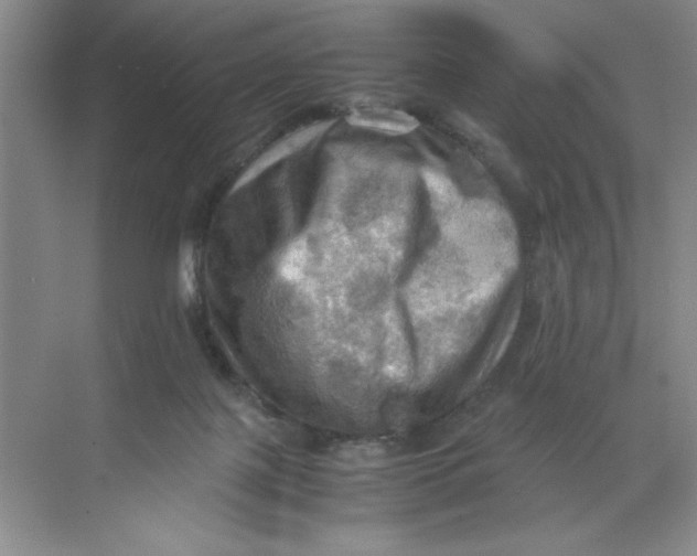 X0000071760075200607220020