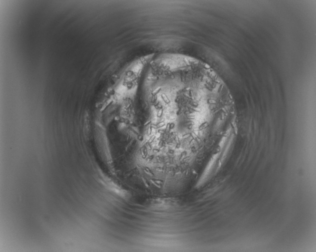 X0000071760077200607220020