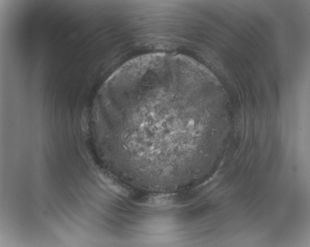 X0000071760078200607220020